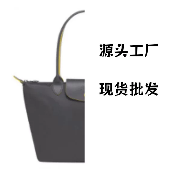 French Dragon Bag Large Capacity Foldable Tote Bag Fashionable Simple Handbag Shoulder Bag Commuting Travel Waterproof Nylon Bag