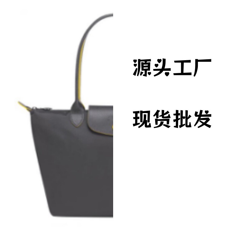 French Dragon Bag Large Capacity Foldable Tote Bag Fashionable Simple Handbag Shoulder Bag Commuting Travel Waterproof Nylon Bag French Dragon Bag Large Capacity Foldable Tote Bag Fashionable Simple Handbag Shoulder Bag Commuting Travel Waterproof Nylon Bag