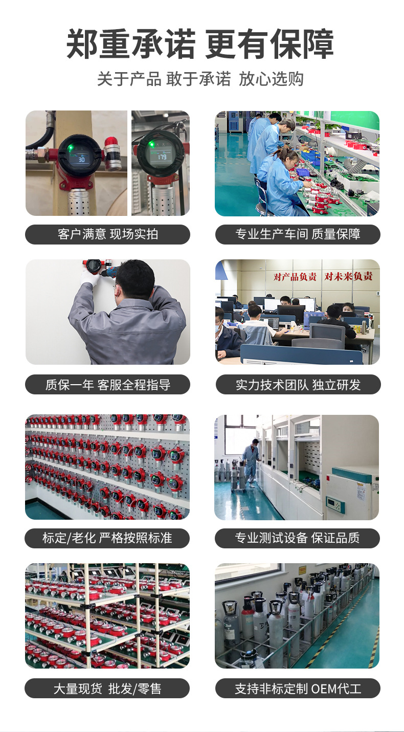 DUST100粉尘详情_02.jpg
