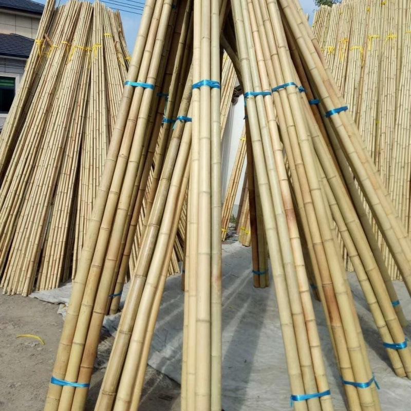 A防腐竹竿批发装饰白黄粗细竹竿子豆角菜园黄瓜搭架菜架竹旗杆楠D