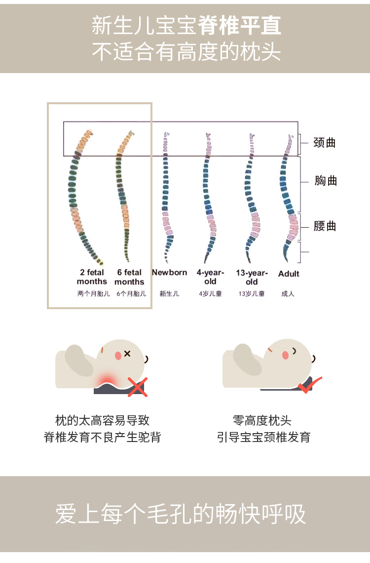 宝宝枕头详情页2_06.jpg