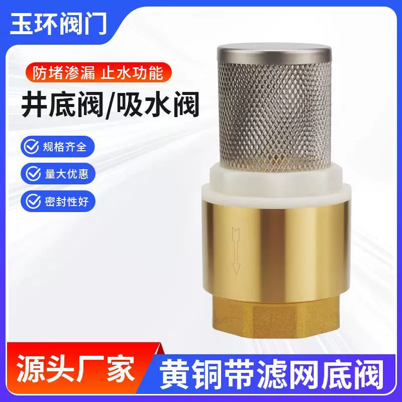 带网铜芯止回阀6分内螺纹井底阀进水防倒流弹簧逆止阀中压适用