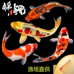 ��ˮ�~���~���~�\�����~�����~���B���~�\���^�p�~��ˮ�^�p�~