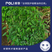 ӡ���M�ںں������� �η�����ԭ�����l �H���M����Ȼ�ں���������