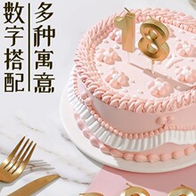 �脡Ժ��������Ϟ�T INS�����Ɍ����yɫ�ܚq�����b�������Ϟ�T