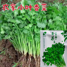 �r��С�~��˷N�����ļ������߲˷N���ݲ��Ѳ˷N��Ʒ�NС����ѷN