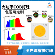 ����18W4000Kȫ���VCOB����ֲ���a������@ָ95cob̫ꖹ��V����