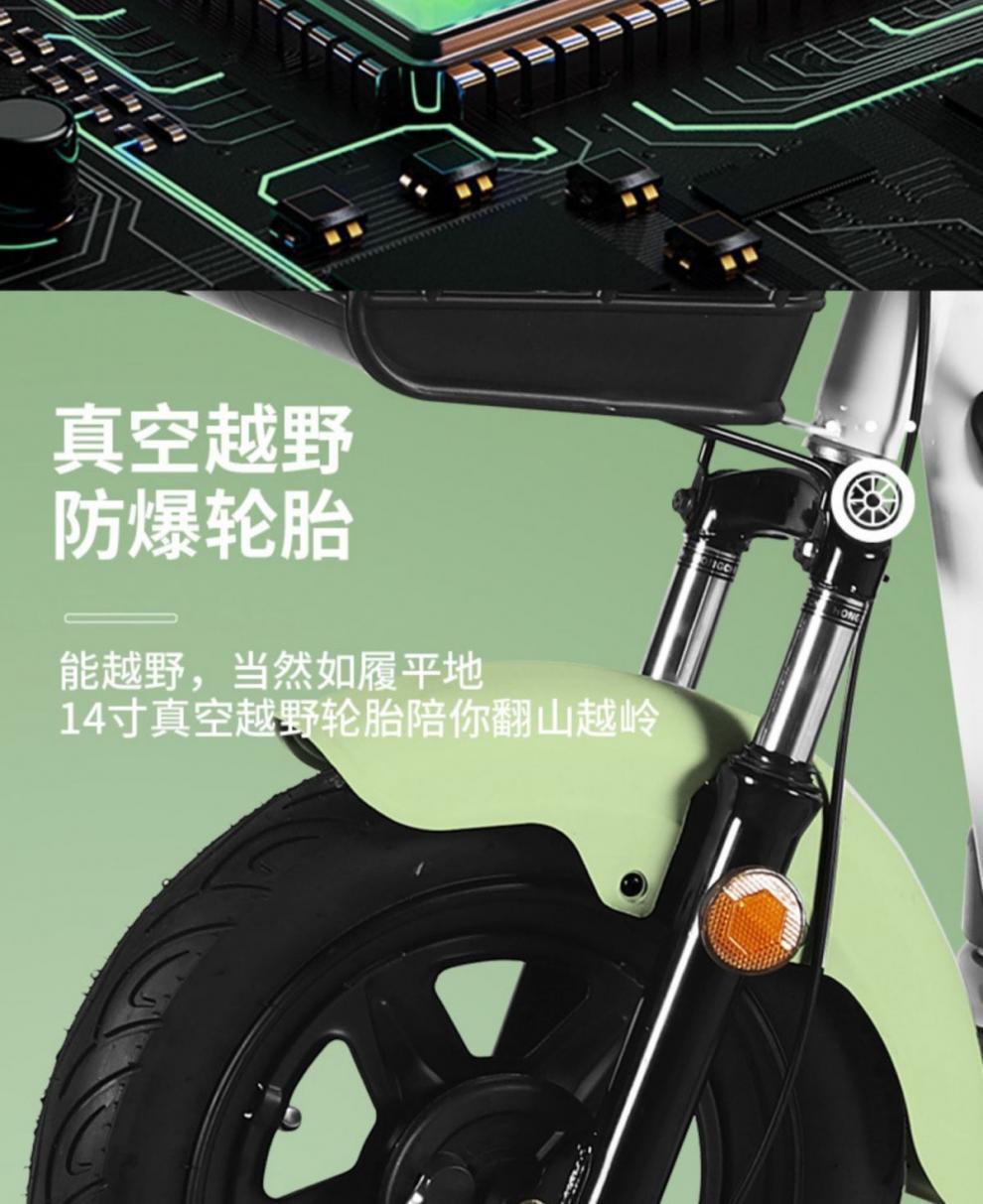 2025 New National Standard Electric Bicycle for Adults