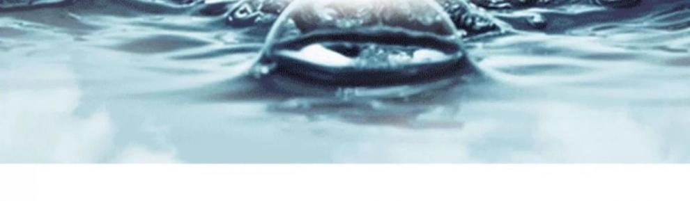 3b1dedfb-9950-4a40-81c4-3a5ecaabee69.jpe