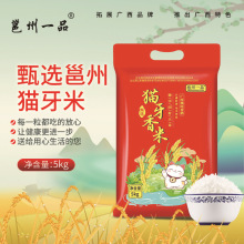 ����؈����10��һ�����L���������l�V���z���������������������