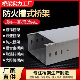Fireproof Trough Bridge Galvanized Bridge Cable Aluminum Alloy Hot Dip Zinc Large Span Plastic Spraying Stainless Steel Bridge
