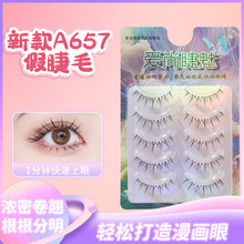 A657�۽�ë������ë���װ�űȼٽ�ë��Ȼ��ױ����ë�ֶ�ʽ�ٽ�ë