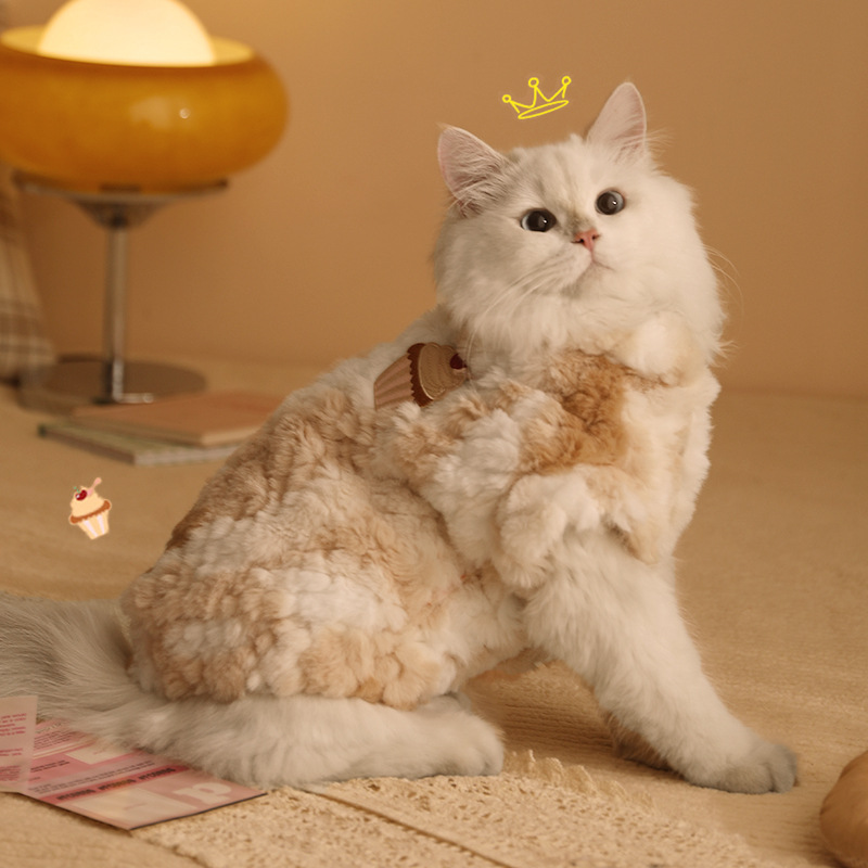 Warm Thick Winter Clothes For Kittens Anti Shedding Ragdoll Cat Clothes For Autumn And Winter_voghion.com