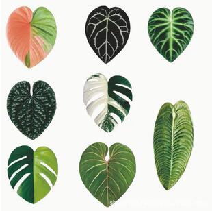 2026�羳�Ą��Ꭷ���~�����N���������zܛ�ű����N3D�~Ƭ�b��N