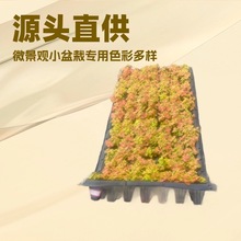 �҃ȾGֲɫ�ʶ��ӾW�y����Ȥζ΢���^С���ԾG�����m�ļ����G���B