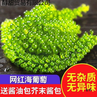 �����Ѽ�ʳ��ͯ�}�n�������r�����ˮ���Ѻ����߲˾Gɫ�~���u����