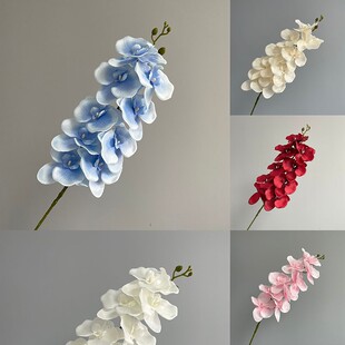 9�^�����m���滨 �Ҿӻ�c�ٻ��廨��֧�m���Ӱ��g�b廨�[��