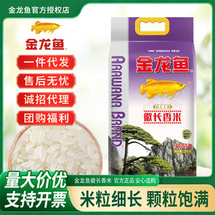 �����~���L����5kg�b�z�����Ϸ��i���L����������b