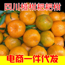 四川椪柑芦柑耙耙柑一件代发新鲜柑橘水果皮薄多汁批发整箱丑橘