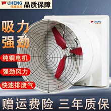 �����ؓ���L�C�Bֳ��ͨ�L�C���S���L�C���I���L�������Bֳ���L