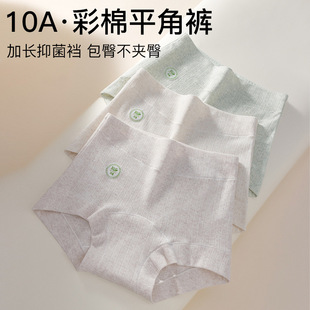 2025�°�A���޼����d��ѝ�������m10A�־�ȫ�޼��LŮʿ����ѝ