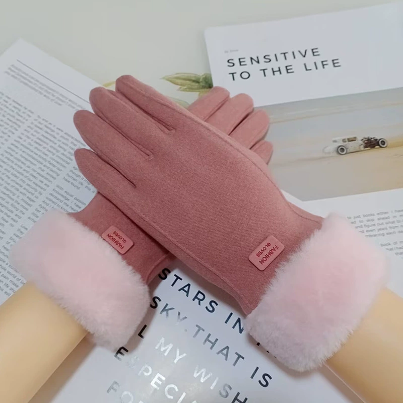 Осенне-зимние уличные новые женские теплые перчатки с сенсорным экраном холодные флисовые подкладке милые студенты катание на флисовой подкладке