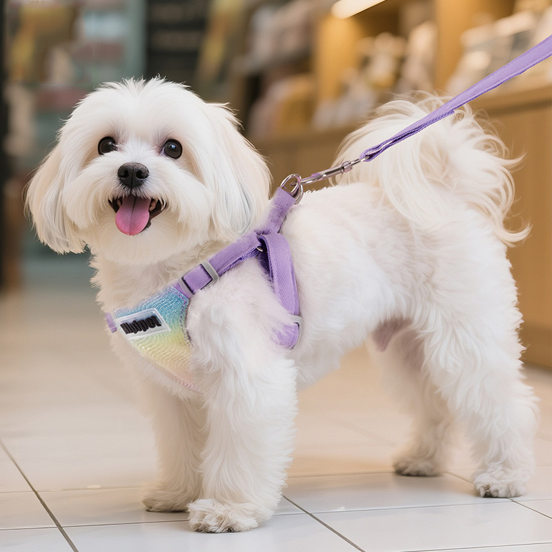 Cuerda de tracción para perros, chaleco, correa para el pecho, mascota, perro pequeño, Teddy Pomerania, oso mediano, cuerda para pasear perros, cadena para perros