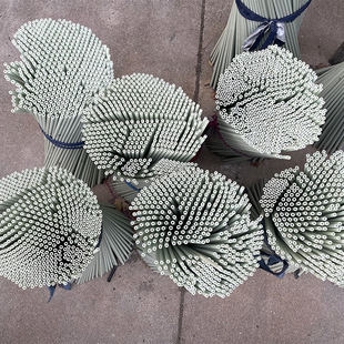 �F؛���l�����w�S���İ�Ӳ���Թ����̼�w�S�A���w�S���ߏ�