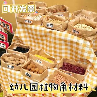 Kindergarten Natural Autumn Material Plant Horn Ring Cream Kraft Paper Bag Planting Area Layout Decoration Class Environment