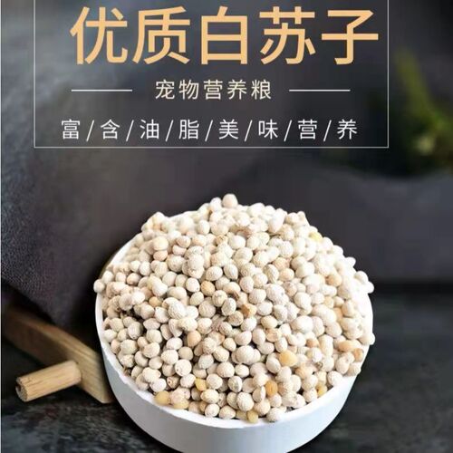New white perilla, suzi kernel, soft perilla, bird food, bird food, parrot, canary, hibiscus bird, small parrot, bird food, bird food