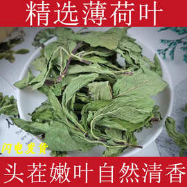 薄荷叶干薄荷中药材新鲜薄荷叶茶泡水干叶子新货干薄荷叶