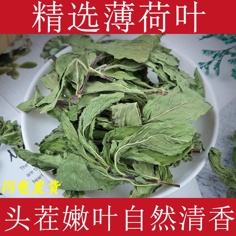 Mint Leaves, Dried Mint Chinese Medicinal Materials, Fresh Mint Leaves, Tea Soaked in Water, Dried Leaves, New Dried Mint Leaves