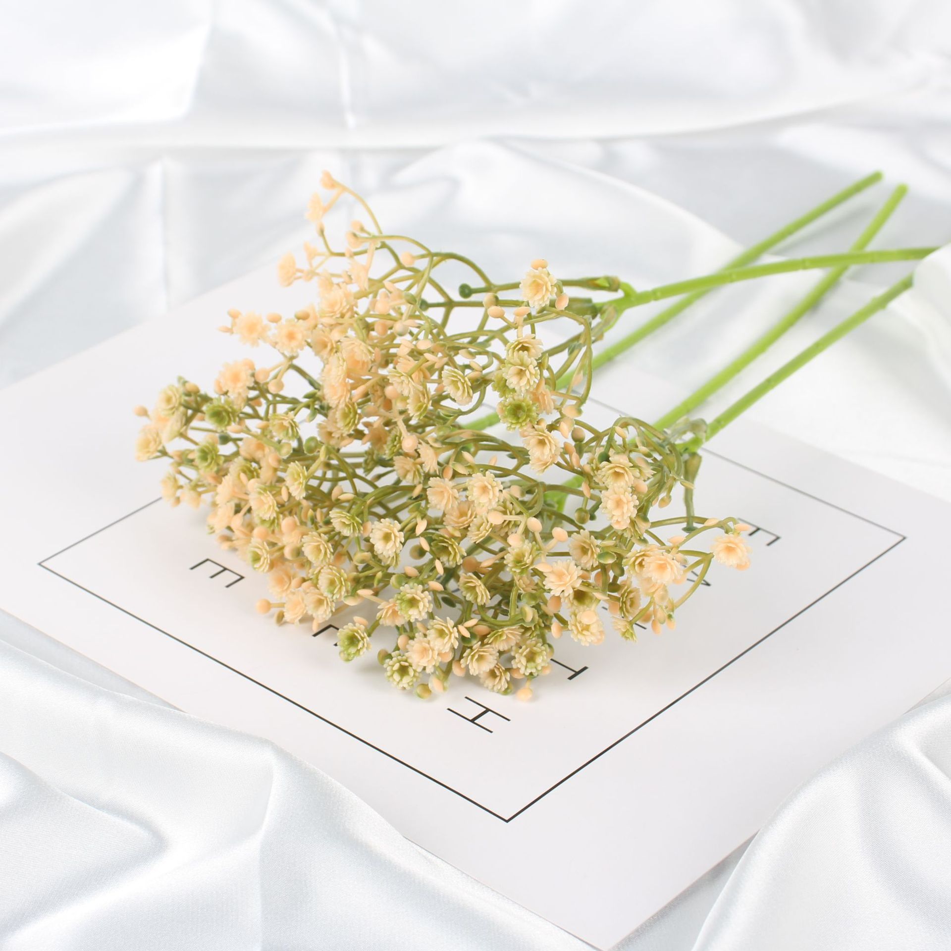 싱글 롱 안개꽃 샴페인 컬러