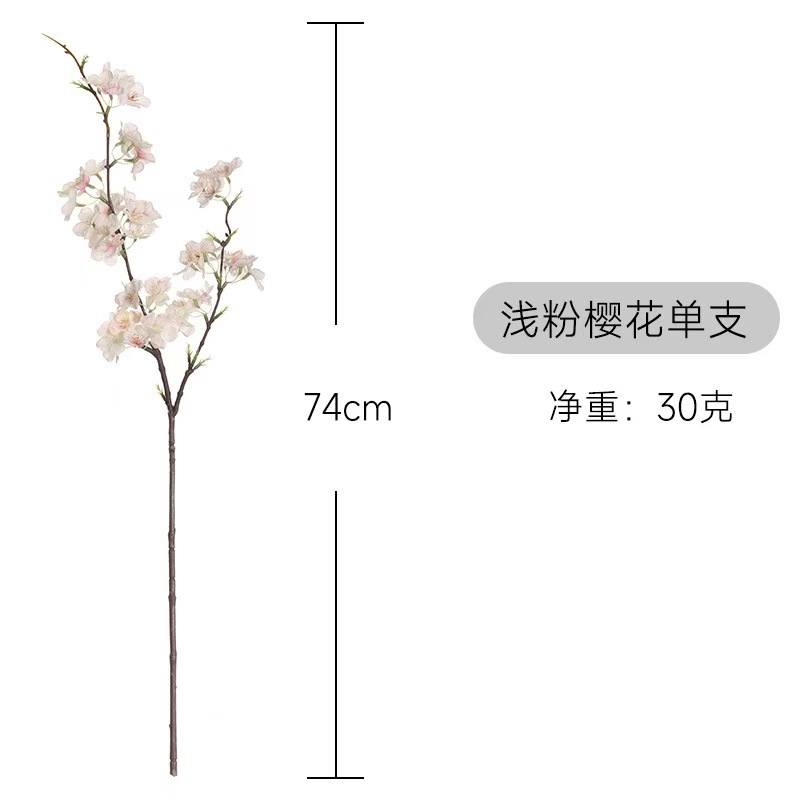 微信图片_20241112134307