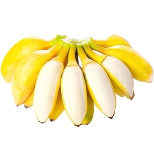 �V���O�������r���O�����������rˮ����Ž��Fժ�㽶һ�����l