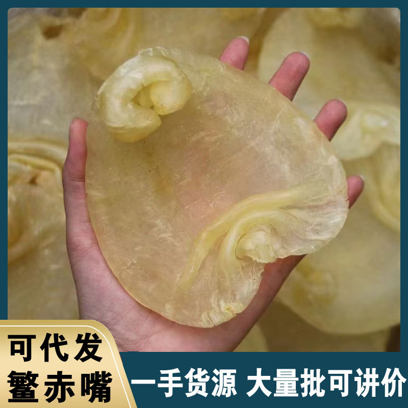 深海赤嘴胶6-10头20头足干货孕妇滋补白鳘赤嘴鱼胶黄花胶大量批发