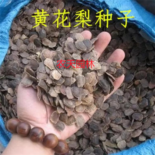 ���ں����S����N�ӳ���N����С�~��̴�N������N�ӽ�z�ľ�N��