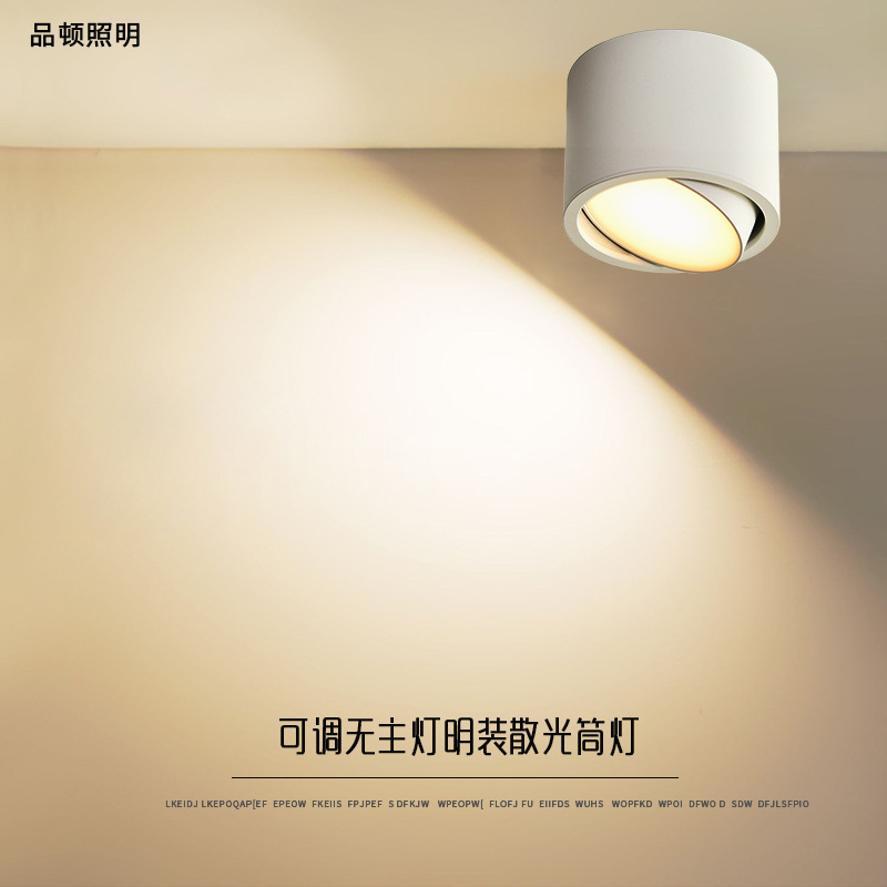 Round Surface-mounted Adjustable Angle Downlight Led Home Balcony Aisle Corridor Free Opening Astigmatism Downlight Without Main Light