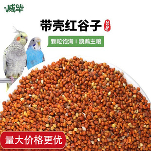 �t�����W�^����Bʳ��Ƥĵ�����������B������B����ZʳС���B�Z