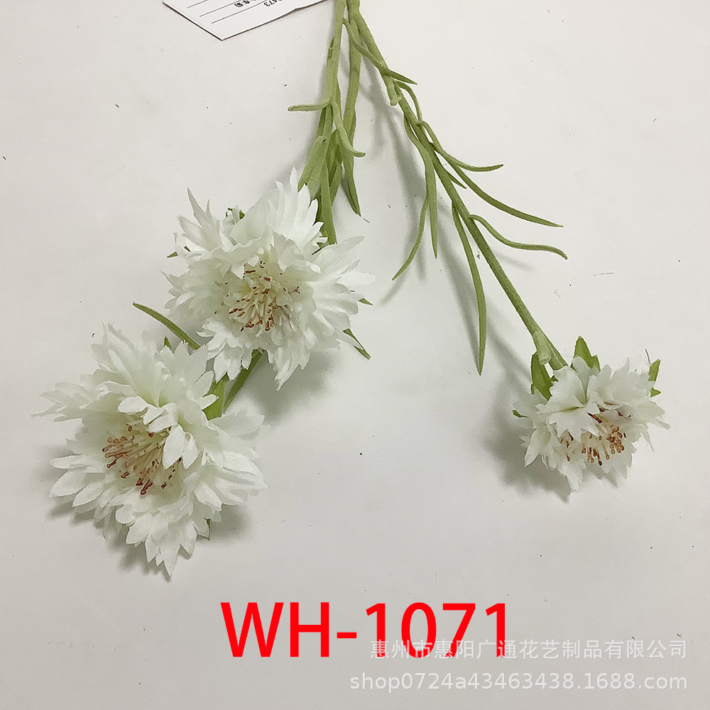 하얀색