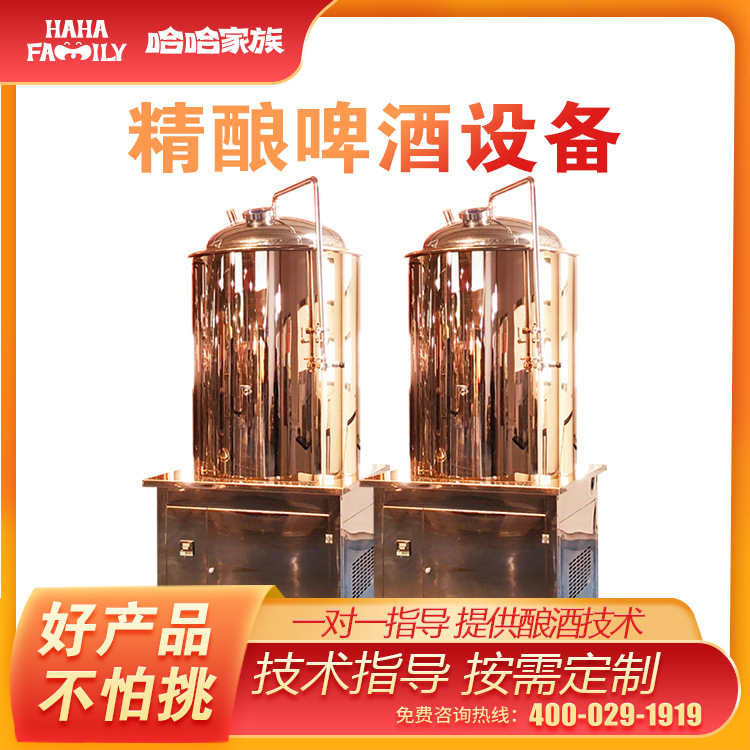 精酿啤酒机器设备全套 生产鲜啤的机械 精酿啤酒制作设备 送技术
