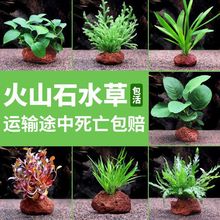 �~�׻��wˮ��ֲ�����ˮ��G���b���ԃ���ˮ��ɽʯ���B�쾰ȫ��