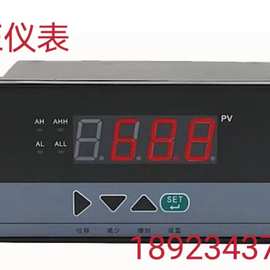 WP-EC803-02-23-HL-P-T数显控制仪表 数字显示报警器 尺寸160*80