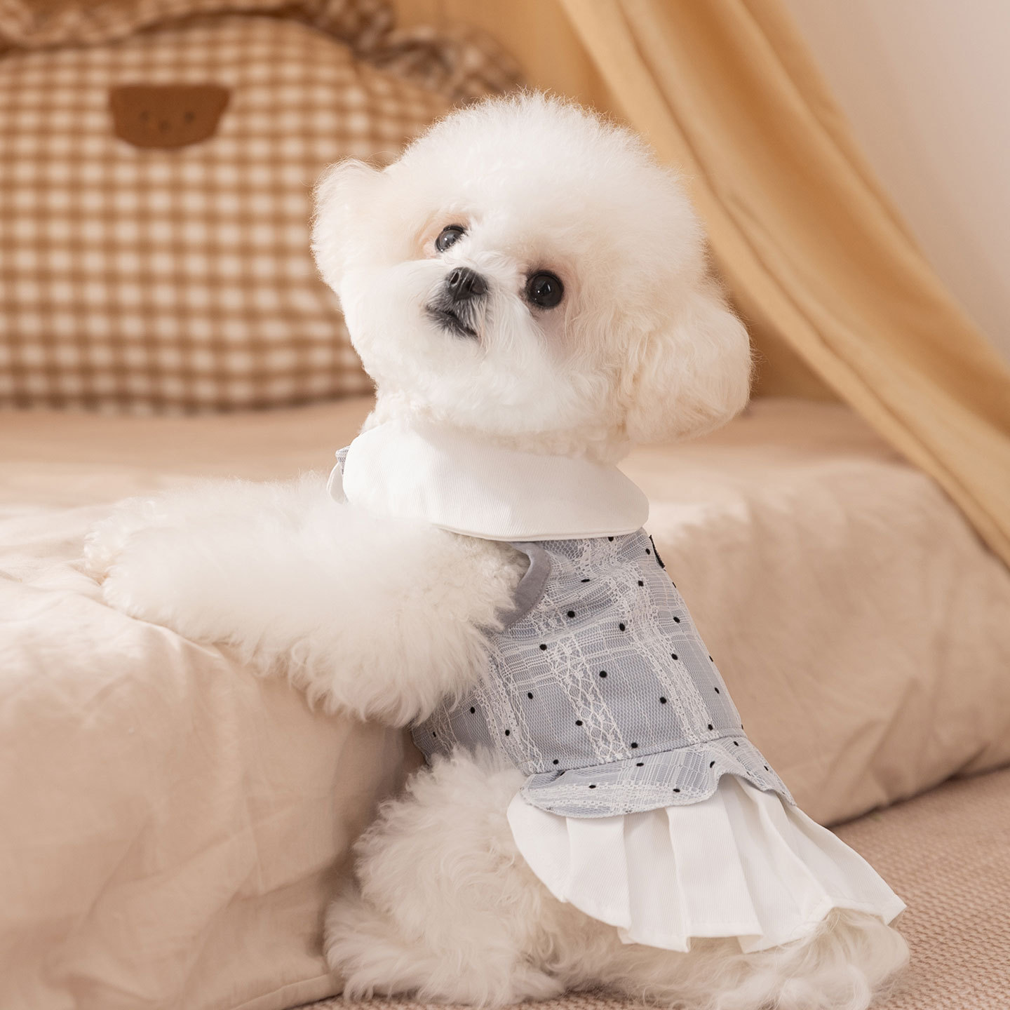 Otoño y invierno nuevo Miu es un traje simple, vestido de collar de dama, ropa para perros y gatos, perros pequeños y medianos. image 3