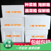 Foam box Vegetables Vegetable box thickening enlarge Seafood box Foam box Large Outsize foam Box