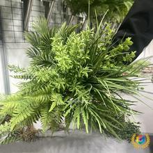 ���l?�J����ܛ�z�����Gֲ��˹ާ�ֲ���쾰�~��ާ�~�����b�