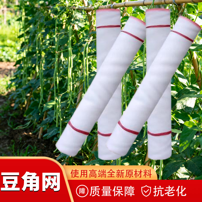 现货供应蔬菜植物爬藤网抗老化黄瓜丝瓜豆角花卉种植爬藤网