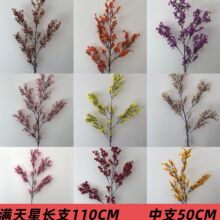 ���潁���M���ǿ羳���Ļ�c��׻��ļҾ��b����@ˇ�ٻ��[��