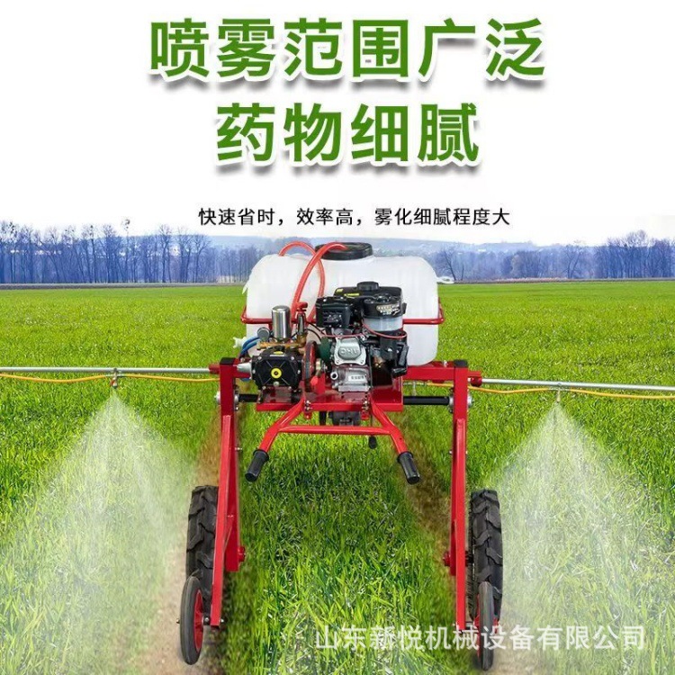 手推式瓜果蔬菜喷药机 折叠式汽油手推打药机 农作物打药机