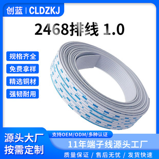 2468 Cable Terminal Connection Cable PH2.0 Red and White Cable 1.0 Wiring Harness XH2.54 Blue and White Cable